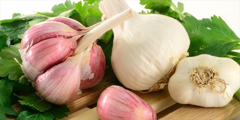 Tỏi là một loại gia vị quen thuộc trong gian bếp của mọi nhà.