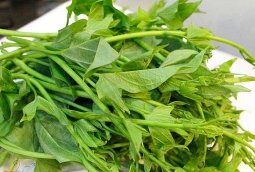 Rau khoai lang cũng giàu pectin, chất chống oxy hóa làm giảm mức cholesterol, giúp cơ thể chống lại bệnh tim, đột quỵ.