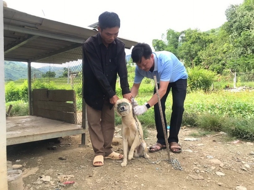 Bé 11 tuổi tử vong nghi do bệnh dại tại Đắk Lắk. Ảnh minh họa: Vietnamplus.