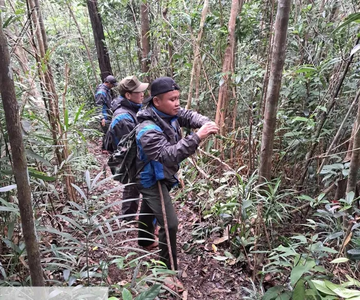 Lực lượng bảo vệ rừng tháo gỡ bẫy thú và phát hiện, thu giữ nhiều tang vật, thiết bị săn bắt động vật hoang dã