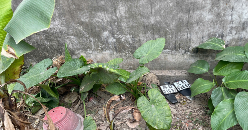 Tang vật vụ án. (Ảnh:Công an tỉnh Quảng Ninh)