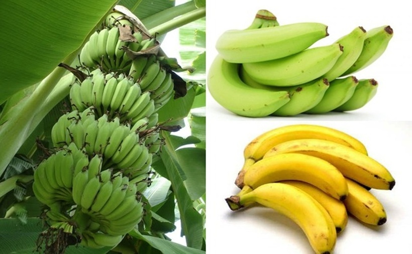 Ăn chuối tiêu có thể bảo vệ niêm mạc dạ dày.