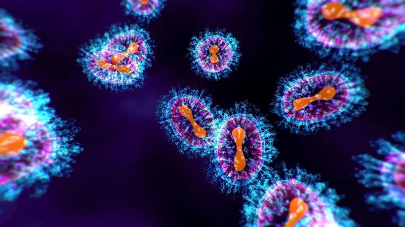 Mặc dù chưa có vaccine phòng ngừa HMPV nhưng do không có nhiều khả năng gây bệnh nặng và mức độ lây lan thấp nên người dân không cần phải lo ngại về bệnh tật này. Ảnh minh họa