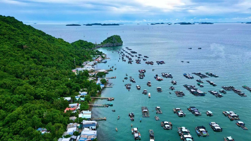 Hòn Nghệ cũng chính là nơi tập trung các lồng bè nuôi cá nhiều bậc nhất của tỉnh Kiên Giang. Ảnh minh họa