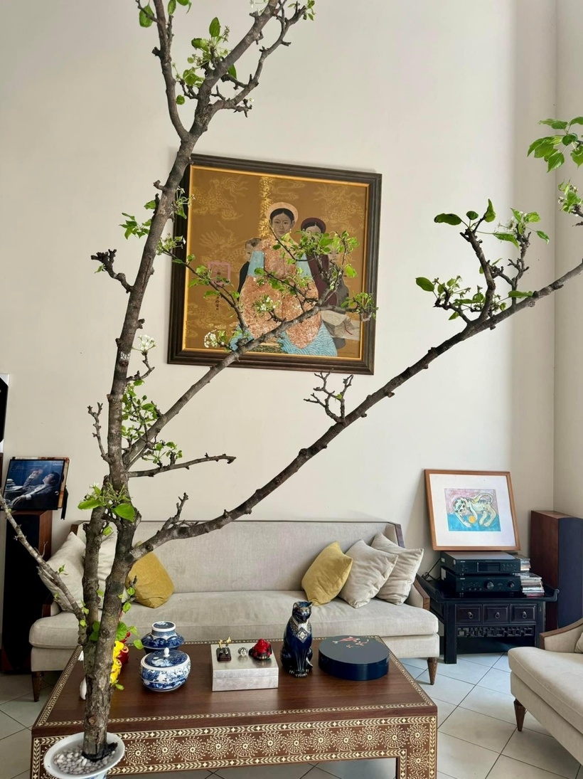 Vốn là một người kiệm lời, sống bình lặng, không bon chen, Quang Dũng dường như biến không gian sống của mình thành chốn yên bình để nghỉ ngơi sau bộn bề cuộc sống.