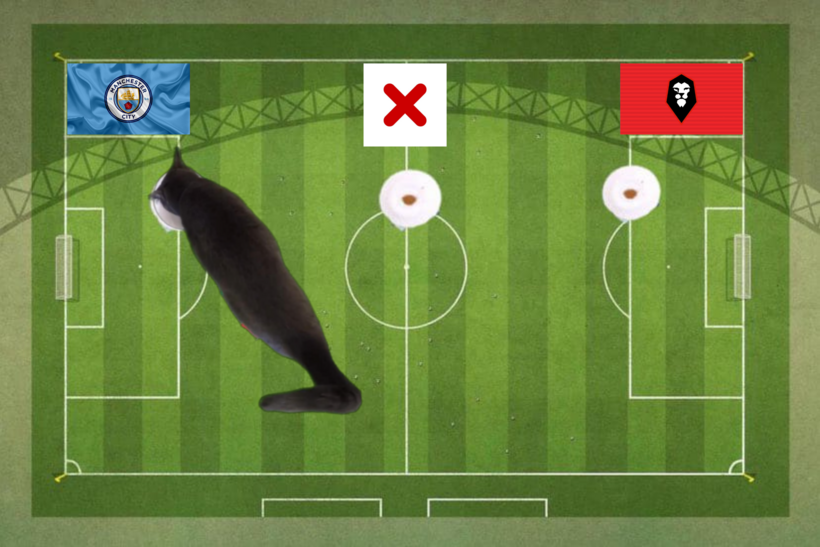 Mèo tiên tri dự đoán kết quả trận Man City vs Salford City.