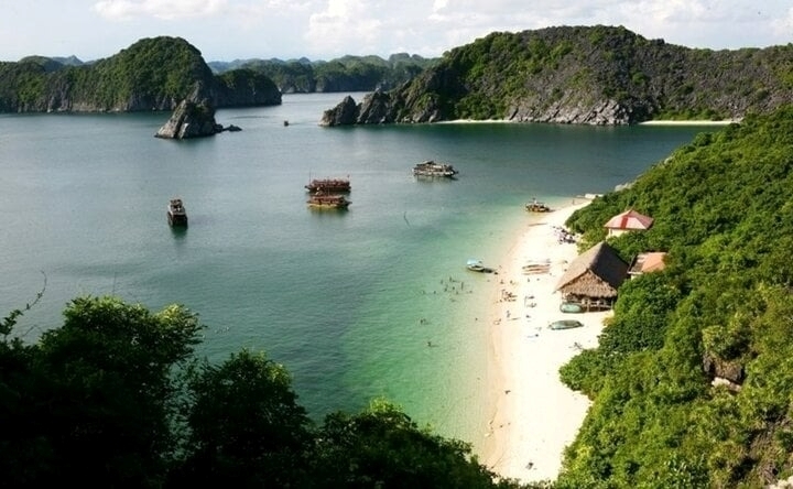 Việt Nam có nhiều bãi biển mang vẻ đẹp hoang sơ, đem đến cho du khác những trải nghiệm độc đáo