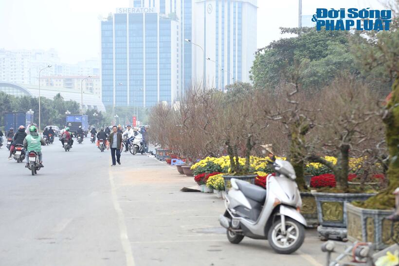 Các tiểu thương tại đây mới chỉ bày bán được ít ngày nên lượng khách chưa nhiều.