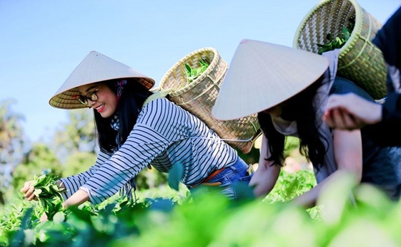 Du lịch sinh thái ở nông thôn đang ngày càng trở nên phổ biến, thu hút đông đảo du khách bởi không gian xanh mát, không khí trong lành và những trải nghiệm độc đáo.