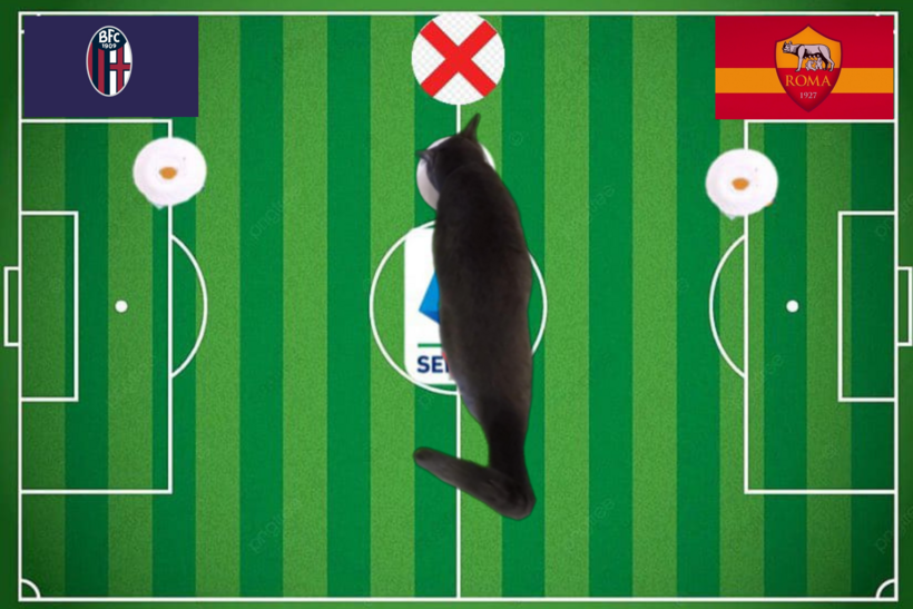 Mèo tiên tri dự đoán kết quả trận Bologna vs Roma