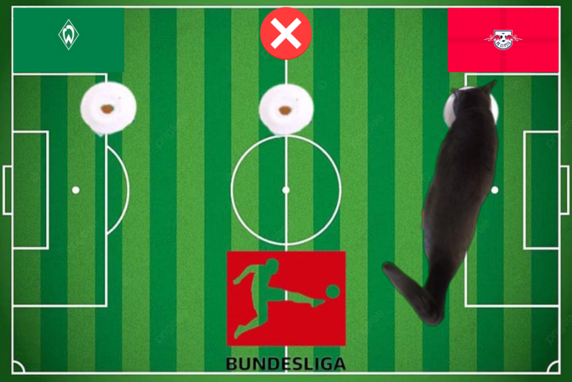 Mèo tiên tri dự đoán kết quả trận RB Leipzig vs Bremen