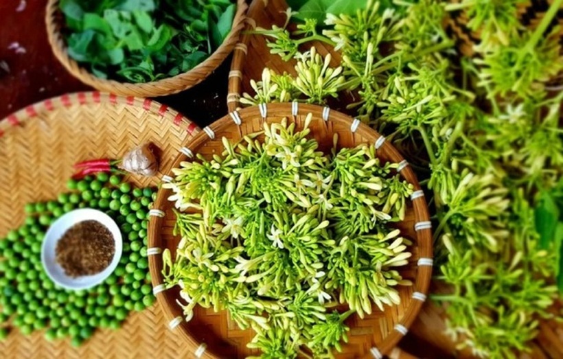 Không nên lạm dụng hoa đu đủ đực.