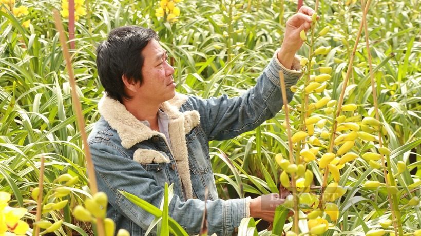 Vườn địa lan nhà anh Đặng Văn Hưng. Ảnh: Dân Việt.