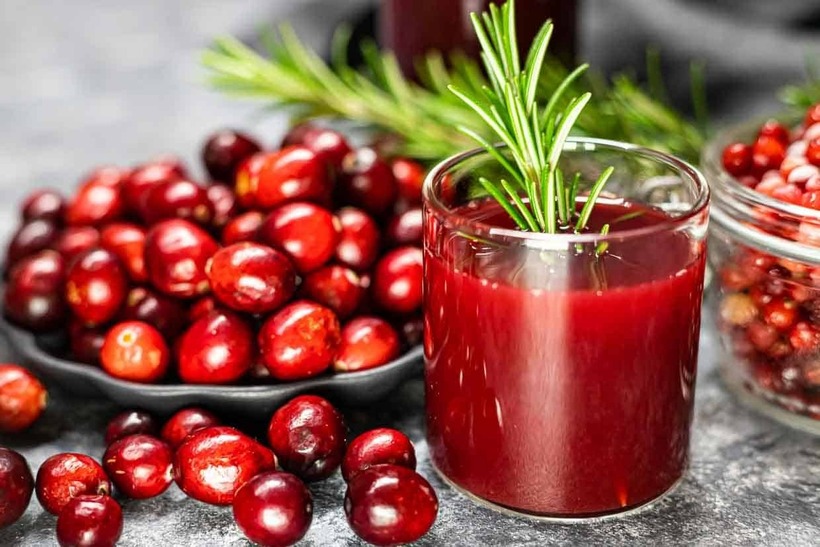 Quả nam việt quất chứa proanthocyanidins, một hợp chất thường thấy ở các loài thực vật.