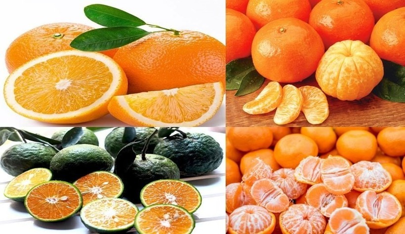 Nhưng loại quả có múi chứa flavonoid, là hợp chất thực vật có đặc tính chống oxy hóa và chống viêm có thể giúp chống lại đột quỵ. Ảnh minh họa.