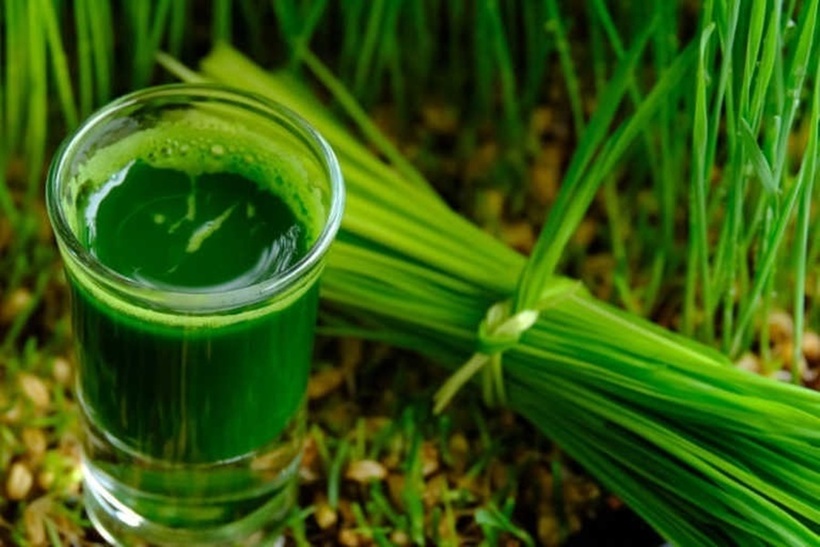 Rau hẹ khá khó tiêu đối với nam giới tiêu hóa kém, có tiền sử đau dạ dày.