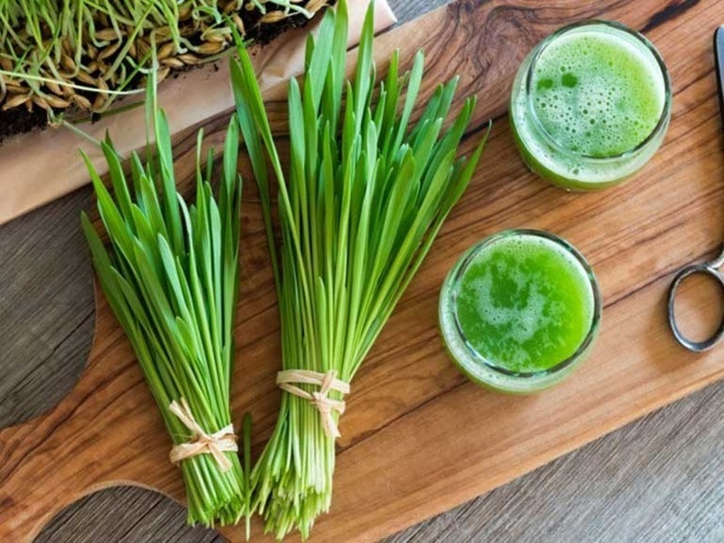 Hẹ có tính ấm, tác dụng lưu thông khí huyết và cân bằng trong cơ thể.