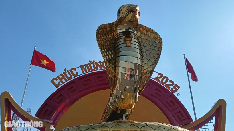 Bề mặt khung được xử lý bằng một lớp lưới nhựa và lớp bạt phủ; toàn bộ da rắn với hình vảy được làm từ tấm aluminium (ốp nhôm nhựa) tráng gương.