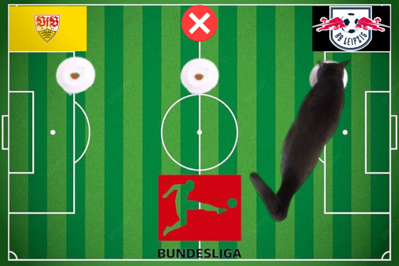 Mèo tiên tri dự đoán kết quả trận Stuttgart vs RB Leipzig