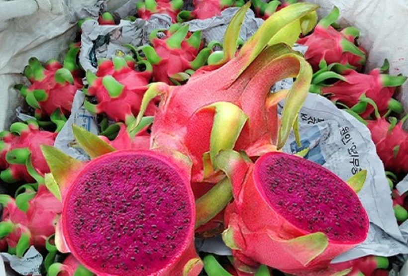 Thanh long giàu chất chống oxy hóa như flavonoid, betacyanin, vitamin C, giúp bảo vệ tế bào khỏi tác hại của gốc tự do, ngăn ngừa lão hóa, ung thư.