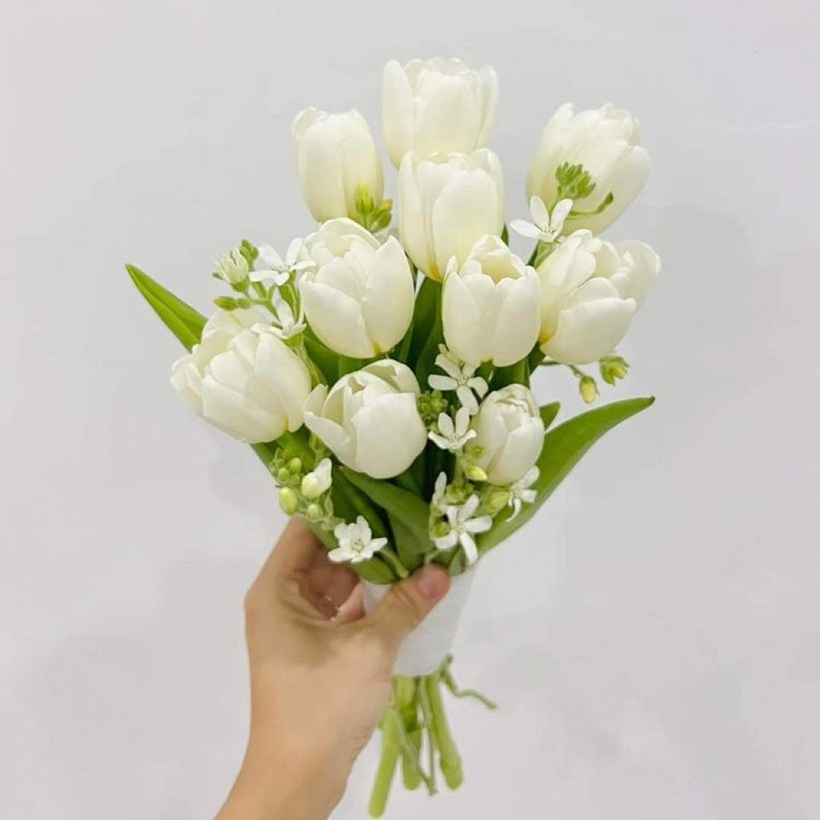 Hoa sao trắng với những bông hoa nhỏ xinh, mang sắc trắng tinh khôi, thường được ví như biểu tượng của tình yêu trong sáng, thủy chung và sự vị tha.