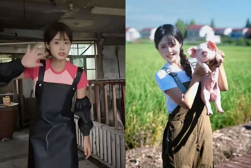 So với làm tiếp viên hàng không, cô Dương thích công việc nuôi lợn hơn vì được ở bên cạnh bố mẹ. Ảnh: 163.