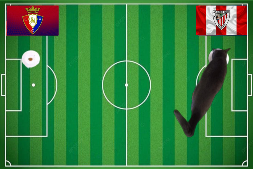 Mèo tiên tri dự đoán kết quả trận Bilbao vs Osasuna