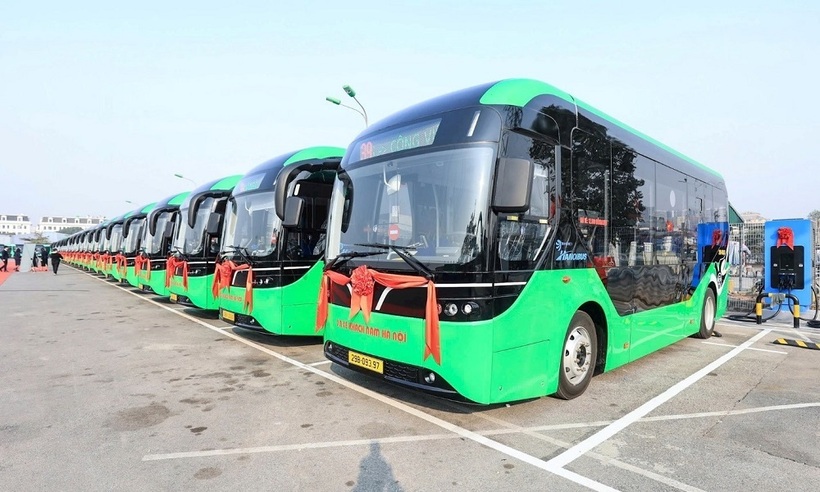 46 xe buýt điện của Transerco trong ngày khai trương, sẵn sàng phục vụ hành khách.