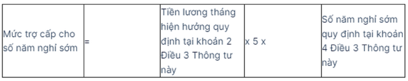 Chi tiết cách tính hưởng chính sách đối với người nghỉ hưu trước tuổi ra sao? - 2