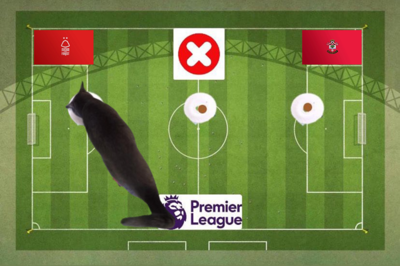 Mèo tiên tri dự đoán kết quả trận Nottingham vs Southampton