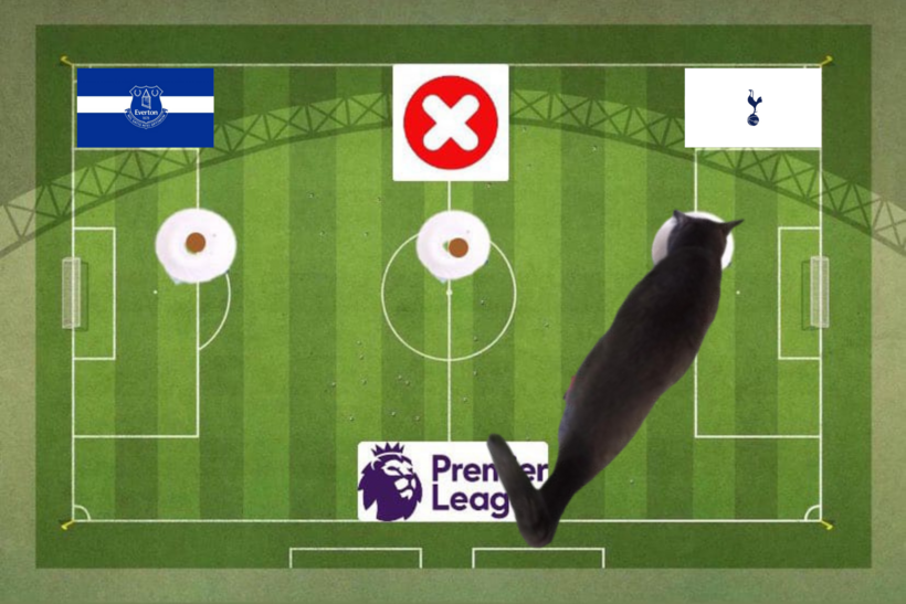 Mèo tiên tri dự đoán kết quả trận Everton vs Tottenham
