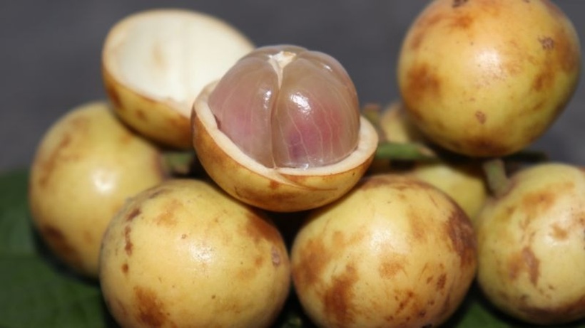 Quả dâu da chứa nhiều canxi nên có tác dụng ngăn ngừa loãng xương.