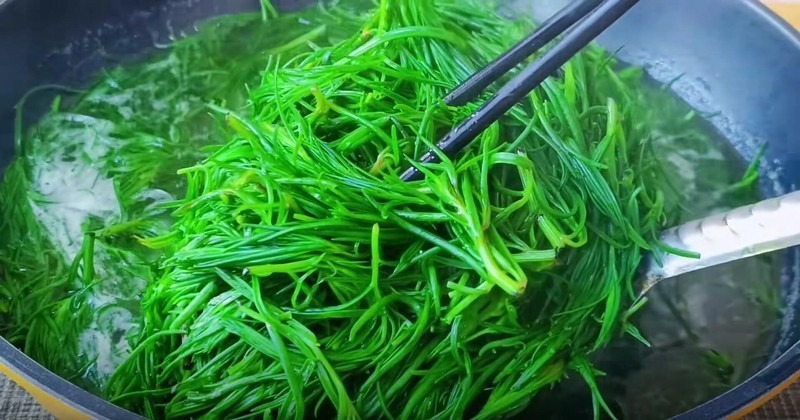 Rau muối từng là người bạn đồng hành quen thuộc trong những bữa cơm đạm bạc của người dân quê.
