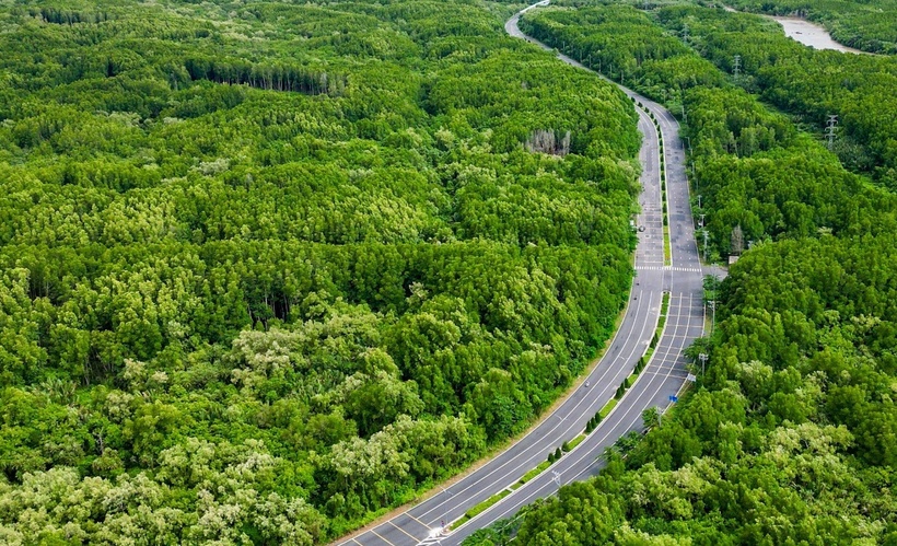 Đường Rừng Sác, tuyến giao thông chính chạy dọc huyện Cần Giờ, xuyên theo trục Tây Bắc - Đông Nam. (Ảnh: VietnamNet)