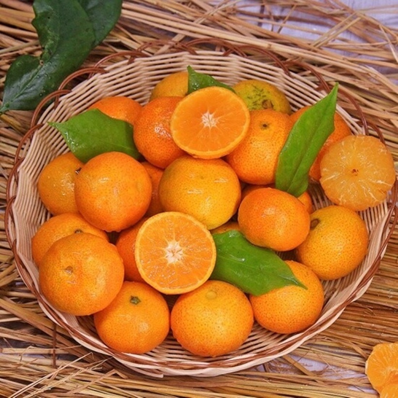 Quýt hồng Lai Vung có dạng hình cầu, hai đầu hơi dẹp, lớp vỏ màu hồng cam rực rỡ, đôi khi còn xen lẫn chút sắc xanh khi quả vừa chín tới.
