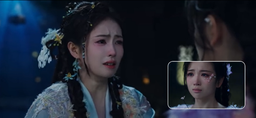 Bạch Thước và Bạch Hy (Phục Linh) nhận nhau.