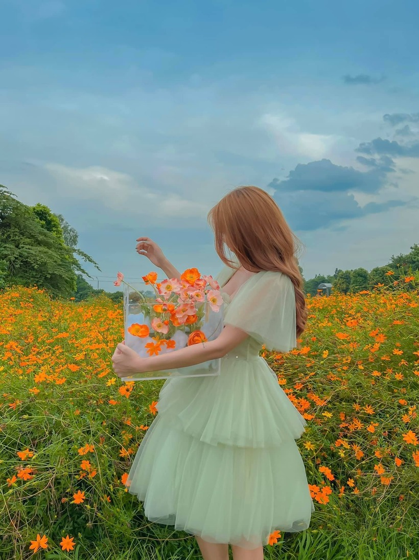 Vườn hoa bãi đá sông Hồng là background lý tưởng cho những bức ảnh "sống ảo" đẹp lung linh