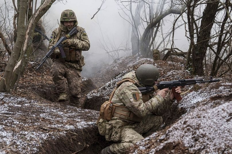 Quân đội Ukraine sử dụng chiến thuật giả tiếng mèo kêu để gài bẫy lực lượng Nga trên các mặt trận. Ảnh: Euro News