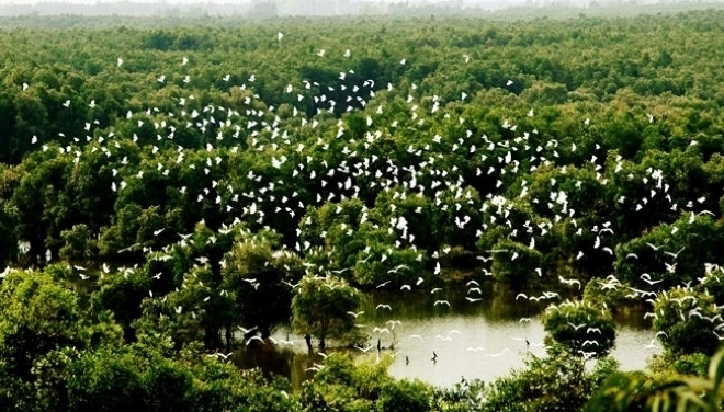 Vườn quốc gia Tràm Chim.