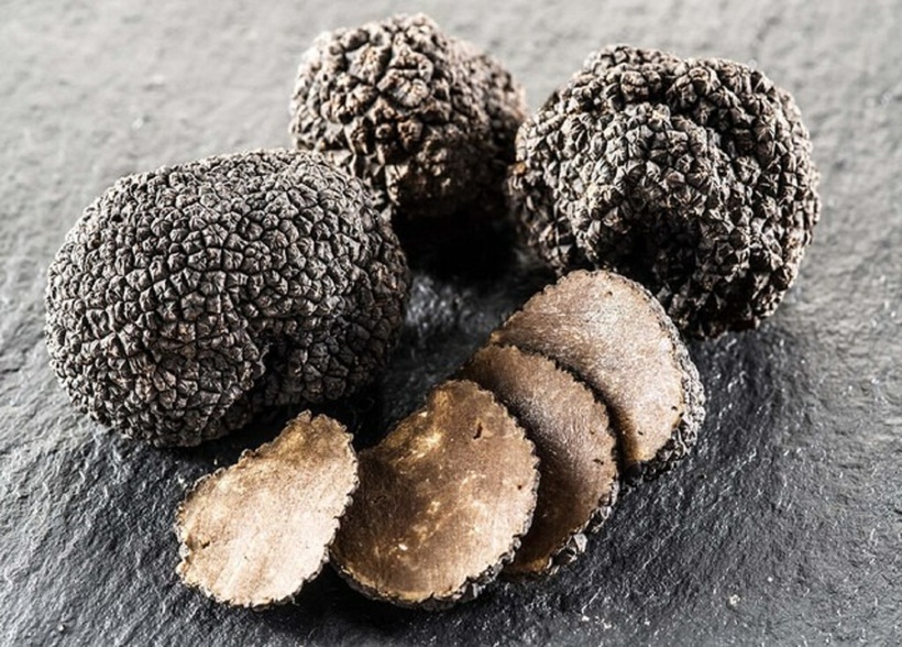 Nấm truffle, hay còn gọi là nấm cục, từ lâu đã được mệnh danh là "kim cương" của thế giới ẩm thực.