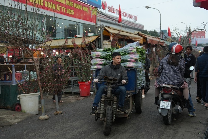 Hoa ly cũng được nhà vườn chở đi cung cấp đến tận tay tiểu thương.