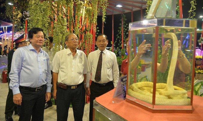 Khách tham quan xem tiêu bản rắn hổ mang chúa tại hội chợ hoa. (Ảnh: VNE)
