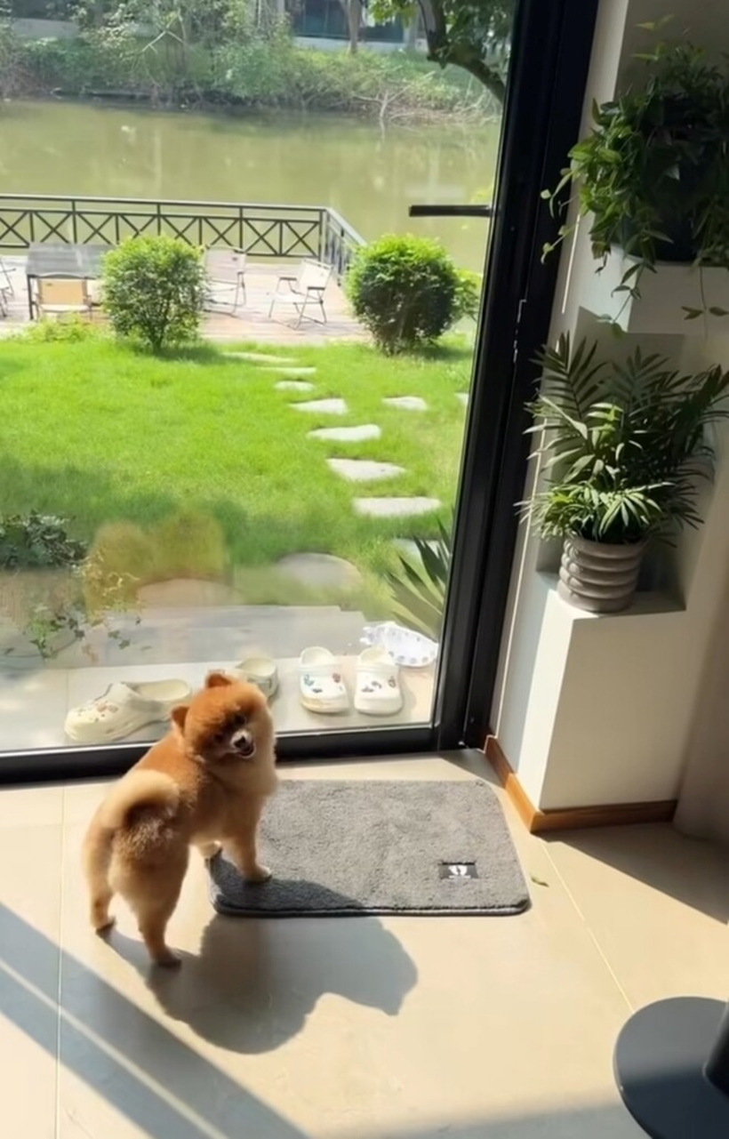 Căn biệt thự của cặp đôi có thiết kế mở với tông màu ấm áp, phòng khách thông tầng, ba mặt kính. Đặng Văn Lâm và Yến Xuân trang trí không gian này theo phong cách Bắc Âu, ưu tiên nội thất gỗ.