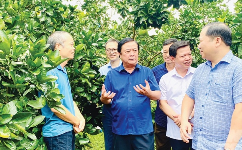 Năm 2025, ngành nông nghiệp cần tiếp tục đổi mới tư duy, tập trung vào khám phá giá trị thặng dư cao hơn.