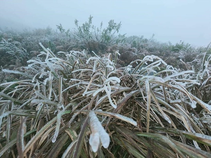 Băng giá ở vùng núi miền Bắc. (Ảnh: Dân trí)