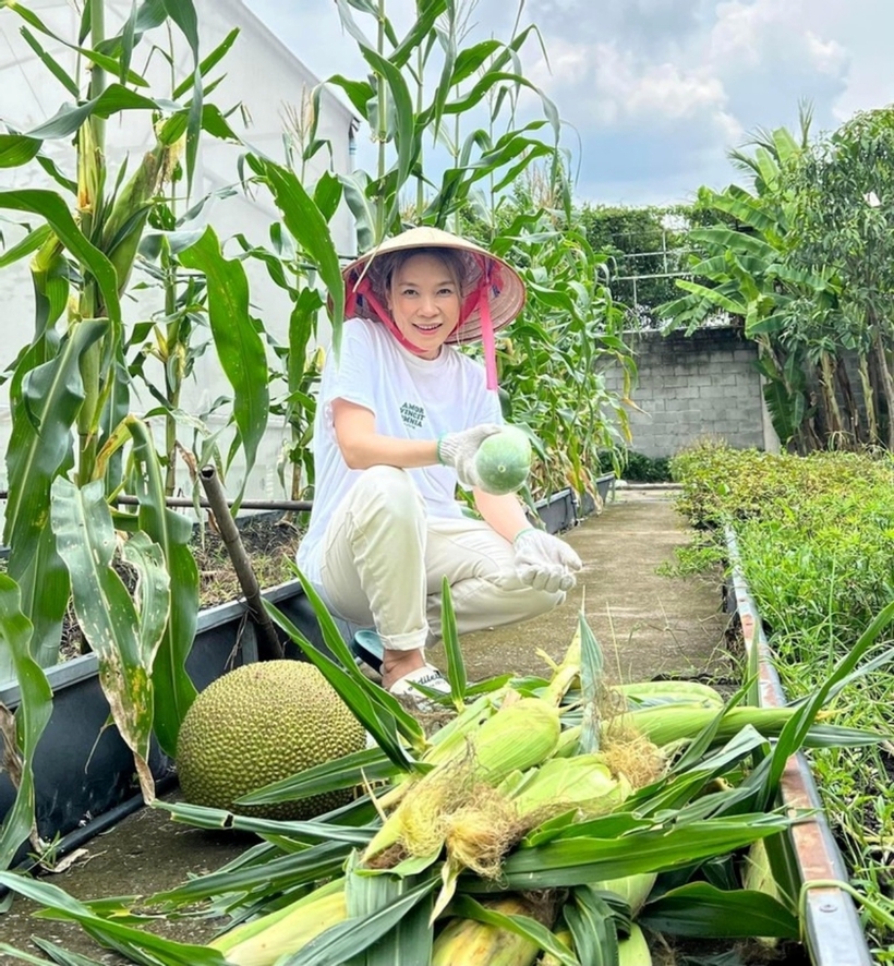 Được biết, ngày thường cô sống và làm việc trong ngôi nhà ở quận Phú Nhuận (TP.HCM). Cô chỉ về nhà vườn để nghỉ ngơi, thư giãn tái tạo năng lượng.