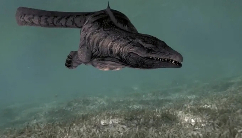 Hình ảnh phục dựng của Mosasaur. Ảnh: Live Science