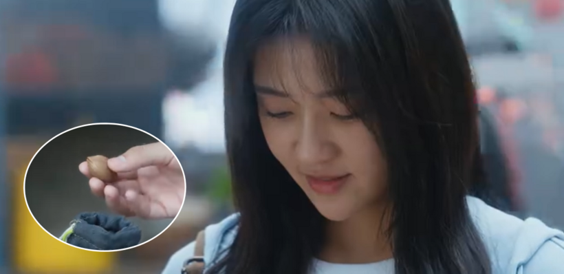 Tống Nhiễm vui vẻ khi nhận được hạt giống cây ô liu trắng.