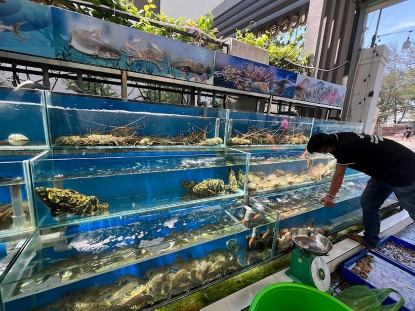 Quầy hải sản tươi sống của nhà hàng. Ảnh: Dân trí