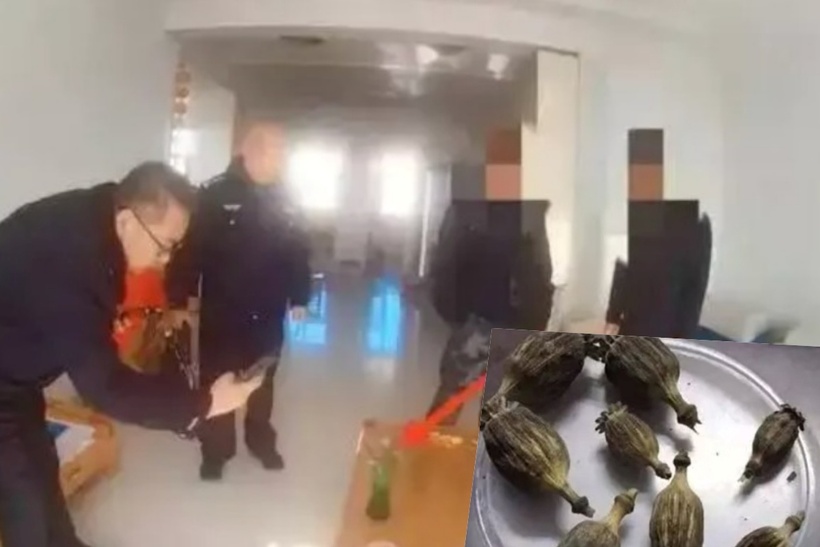 Trong quá trình lục soát, cảnh sát phát hiện 8 vỏ cây thuốc phiện khô trên ban công nhà cậu bé. Ảnh: Singtao.